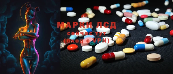трава Сатка